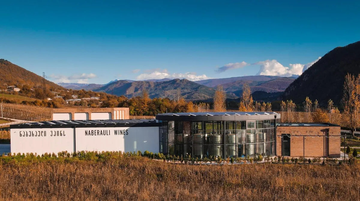 Naberauli in Georgien, ein modernes Weingut inmitten einer malerischen Berglandschaft mit herbstlichen Farben – bekannt für hochwertige georgische Weine.
